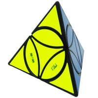 Coin Tetrahedron